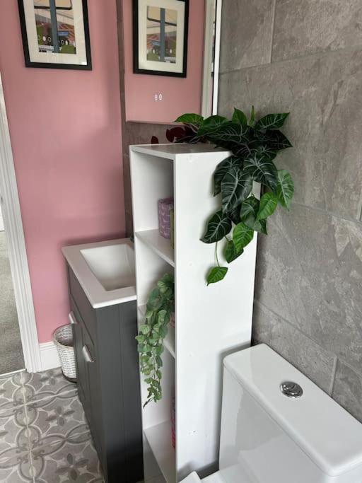 Three Storey Clifton Town House Бристол Екстериор снимка